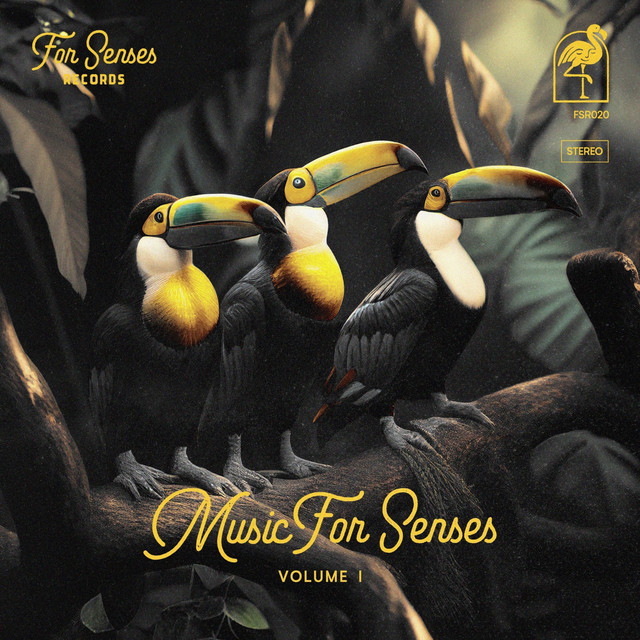 Music for Senses I Mixed (DJ Mix)