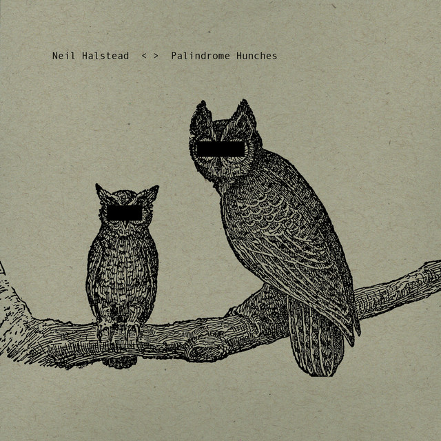 Palindrome Hunches cover art