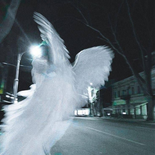 undefined album image