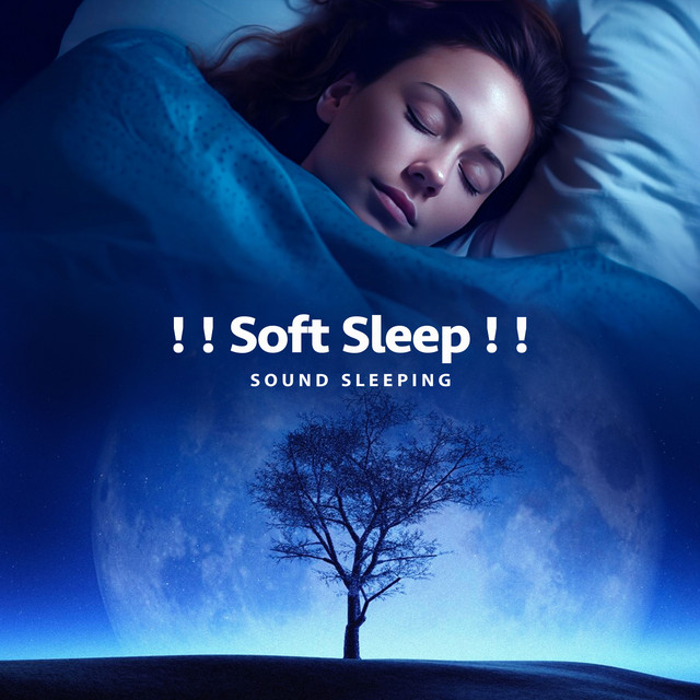Soft Sleep ! ! - Album by Sound Sleeping | Spotify