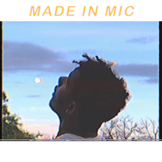 Made in Mic cover art