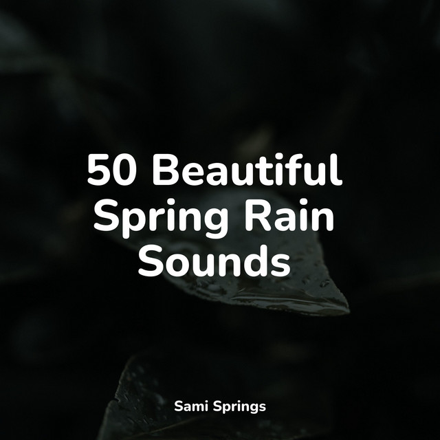 50 Beautiful Spring Rain Sounds - Album by Sleep Music System | Spotify