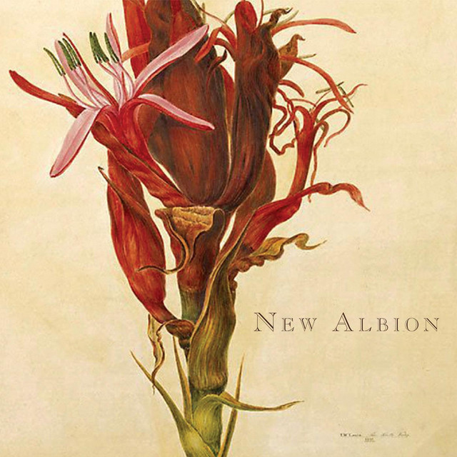 New Albion cover