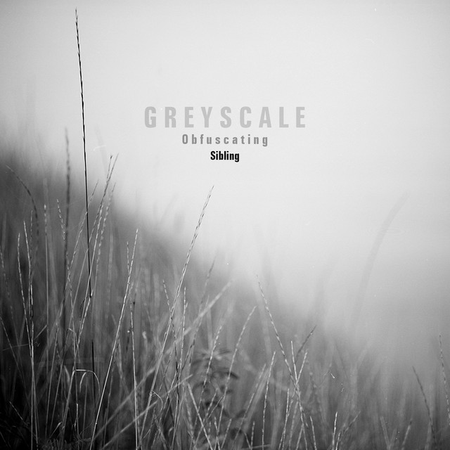 Obfuscating cover art