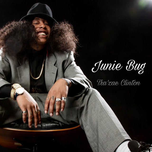 FUNK WITHIN cover art