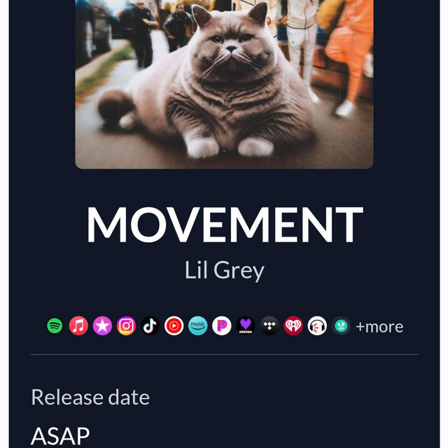 MOVEMENT - Single by Lil Grey | Spotify