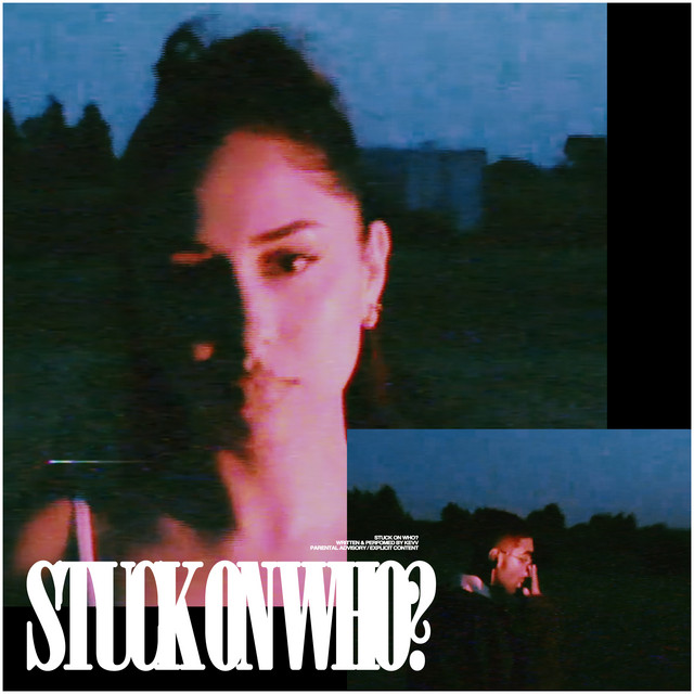 Stuck on Who? cover art