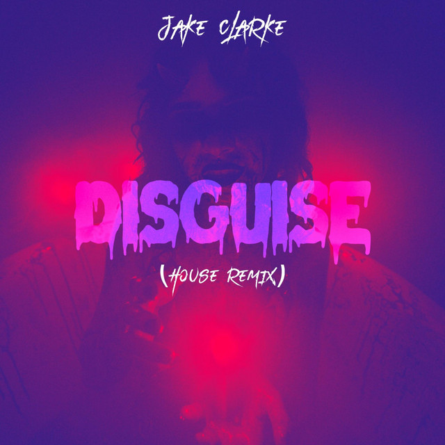 Disguise (House Remix) cover