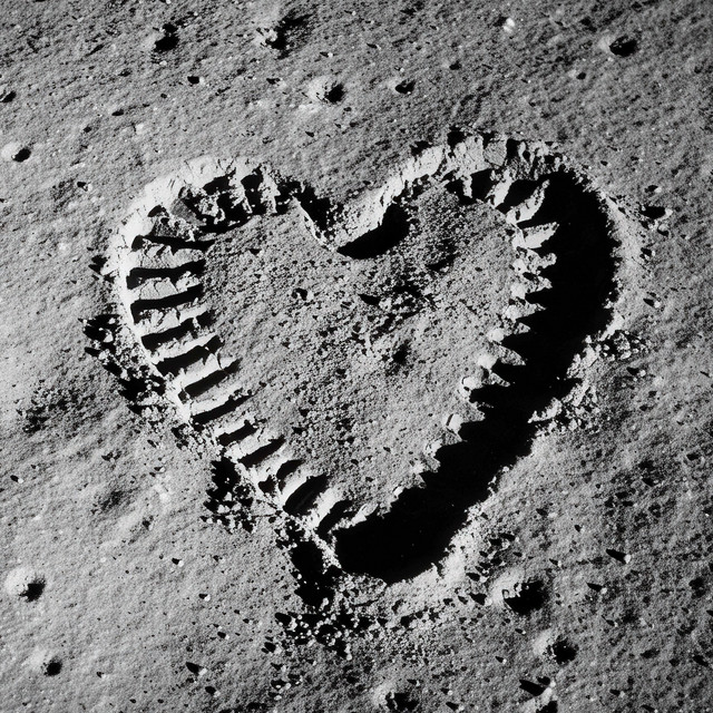 To the Moon and Back