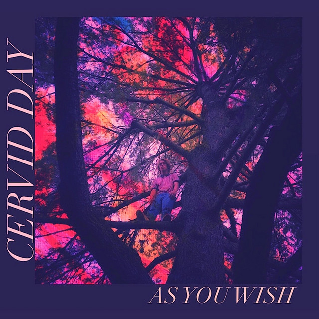 As You Wish cover art