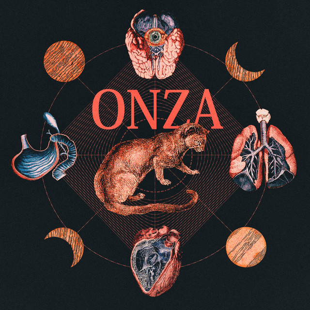 Onza cover
