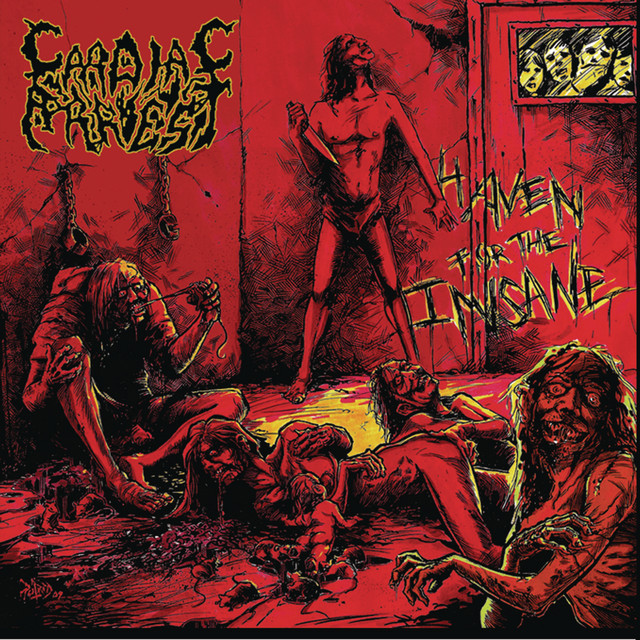 Haven for the Insane cover art
