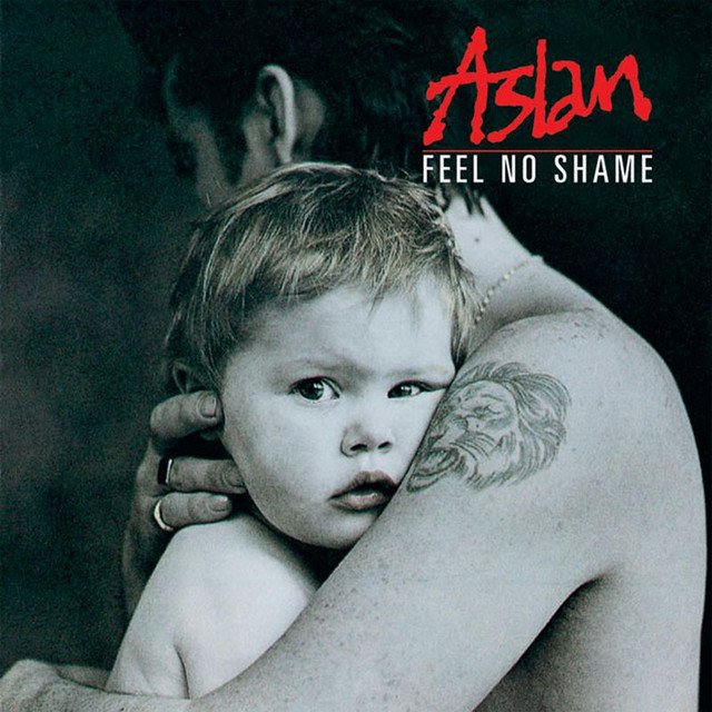 Feel No Shame cover art