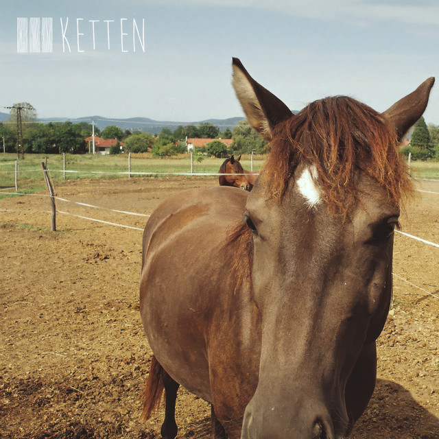Ketten (single)