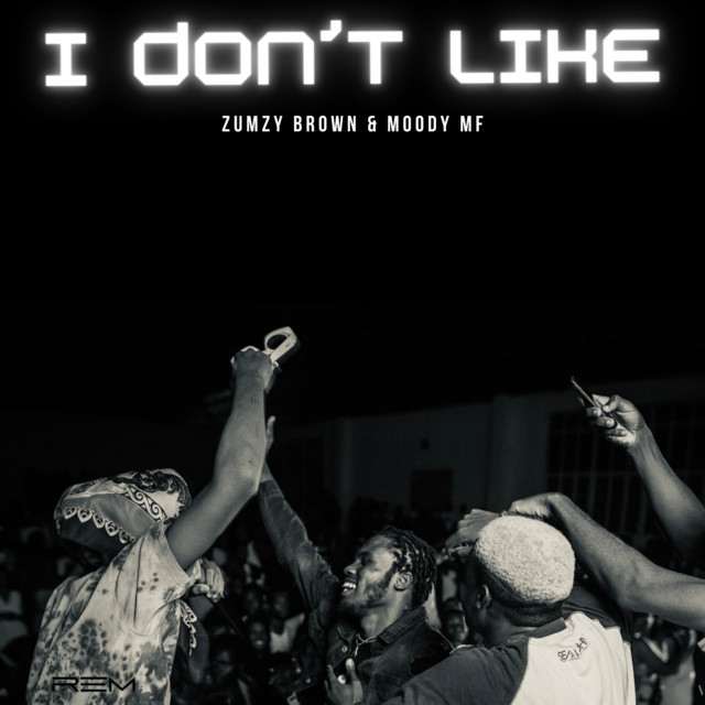 I Dont Like cover art