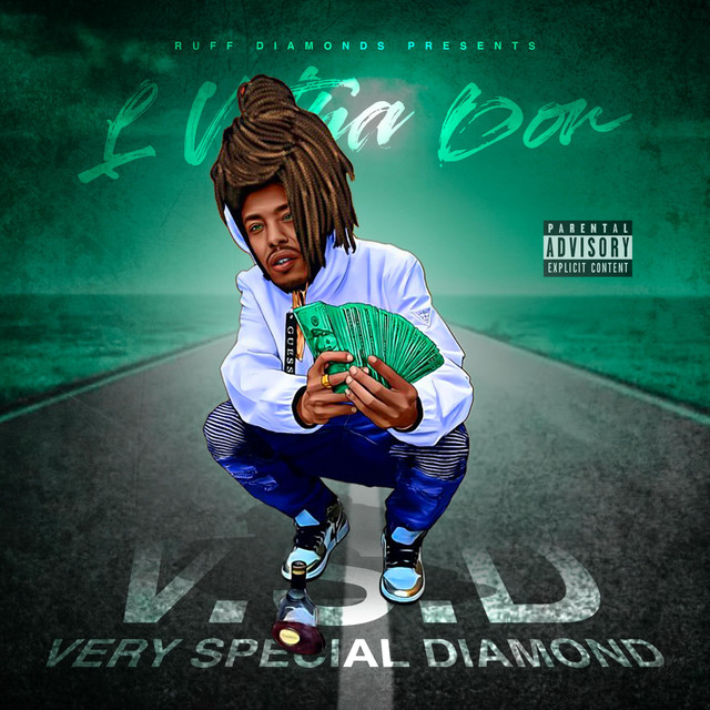 V.S.D cover art
