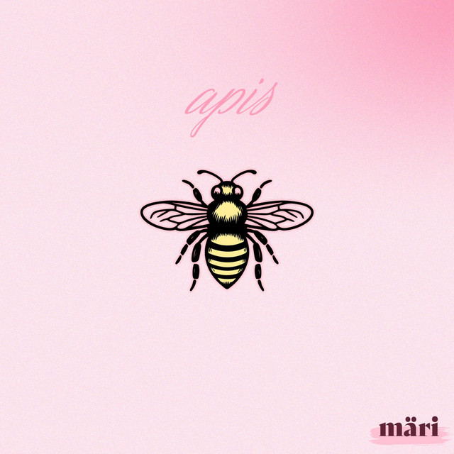 apis cover art
