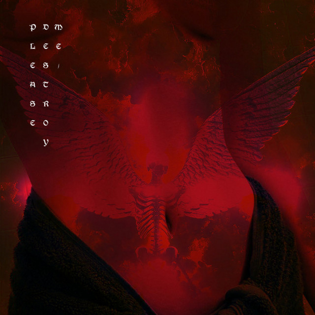 Please Destroy Me cover art