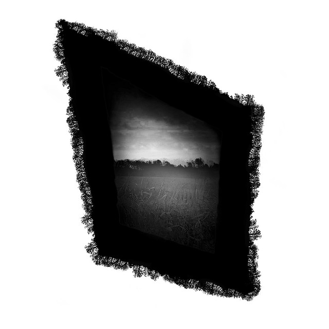 Morning Dew cover art