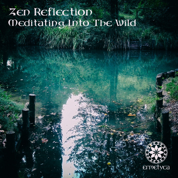 Meditating Into The Wild cover art