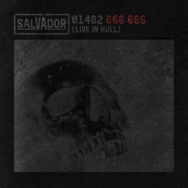 01482 666 666 (Live In Hull) cover art
