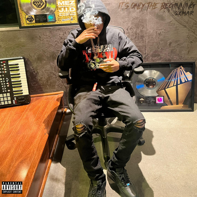 It's Only The Beginning cover art