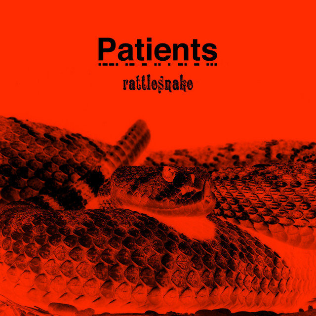 Rattlesnake cover