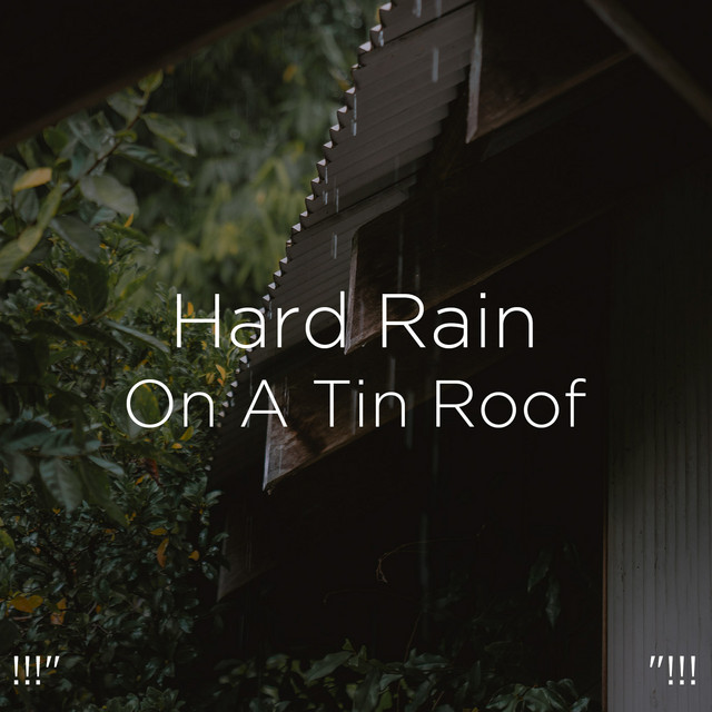 Hard Rain On A Tin Roof 