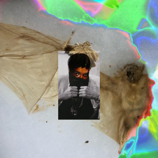 everything i touch falls apart into destruction cover art