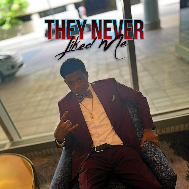 They Never Liked Me cover art