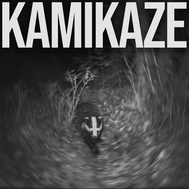 Kamikaze cover art
