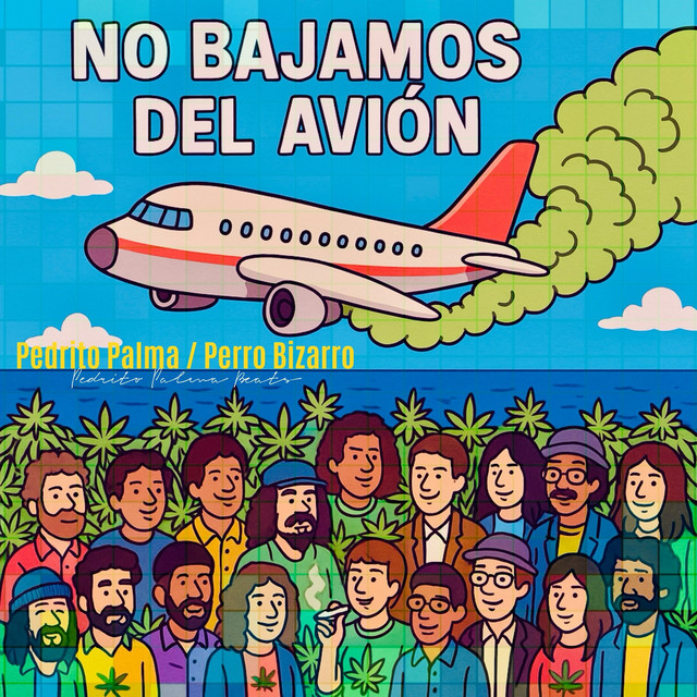 No bajamos del avión
