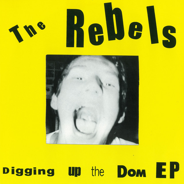 Digging Up The Dom cover art