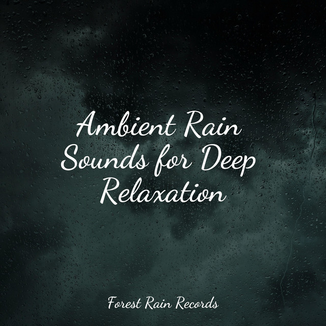 Ambient Rain Sounds for Deep Relaxation - Album by Pro Sound Effects ...