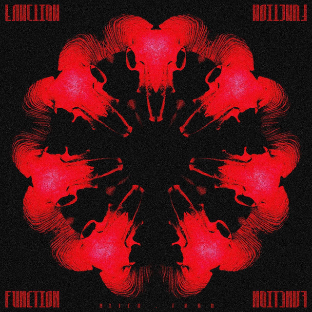 Function cover art
