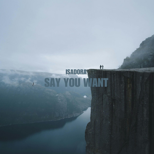 Say You Want - Radio Edit