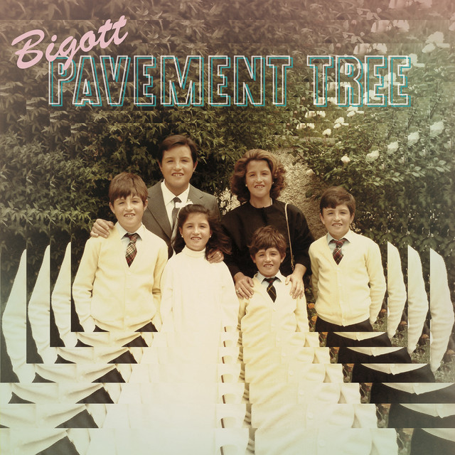 Pavement Tree cover art