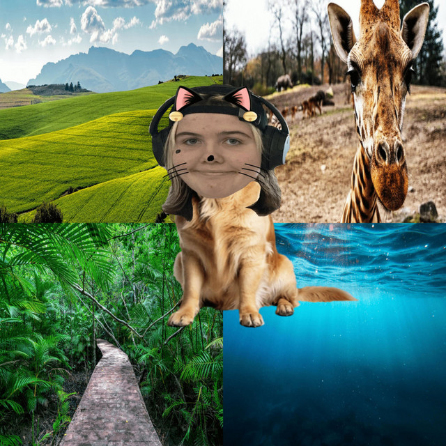 Animals cover art