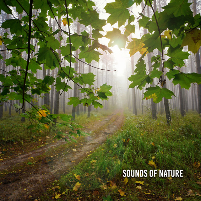 Sounds Of Nature cover art