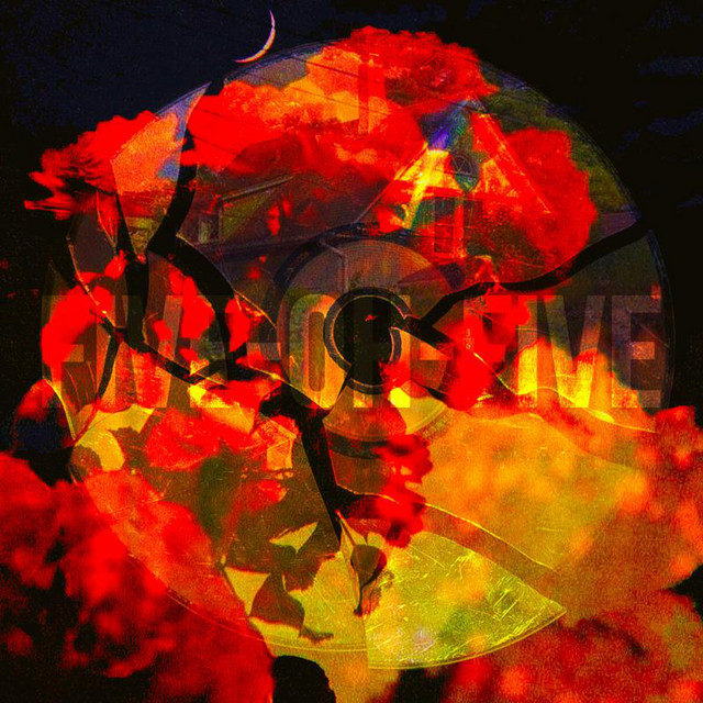 FIVE-OH-FIVE cover art