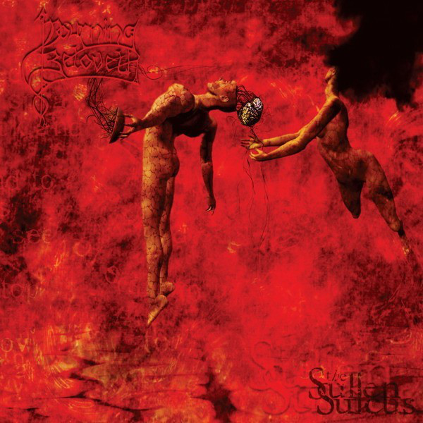 The Sullen Sulcus cover art