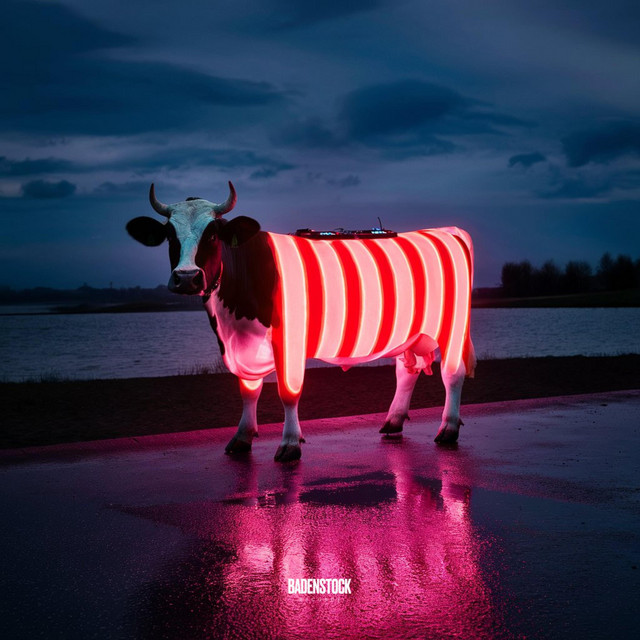 F E E D - Sped Up