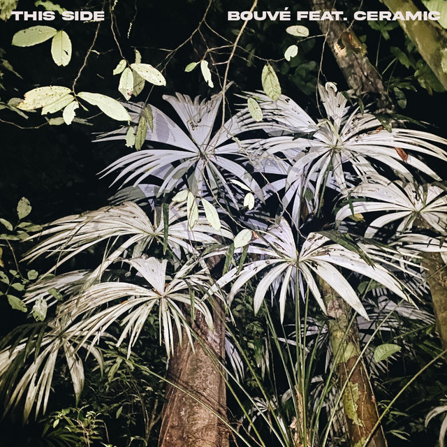 This Side cover art