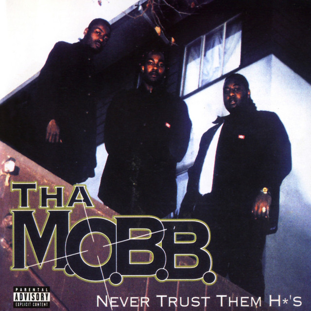 Never Trust Them H*'s cover