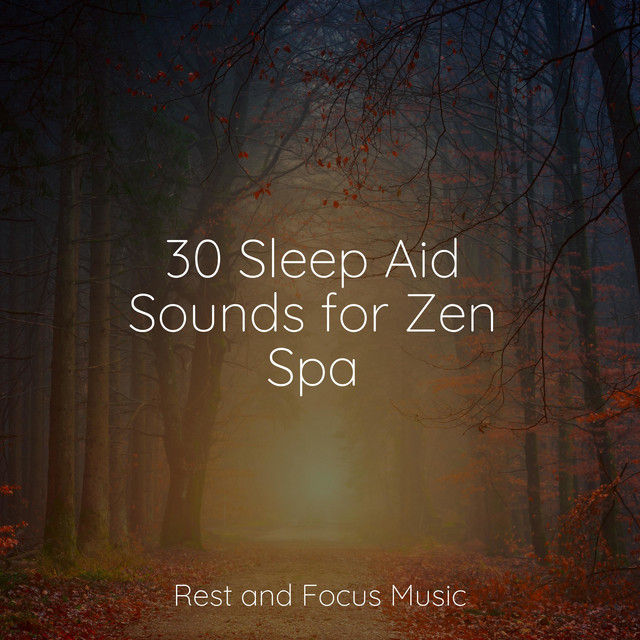 30 Sleep Aid Sounds for Zen Spa - Album by Alpha Waves | Spotify