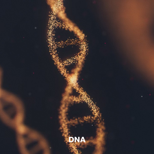DNA
