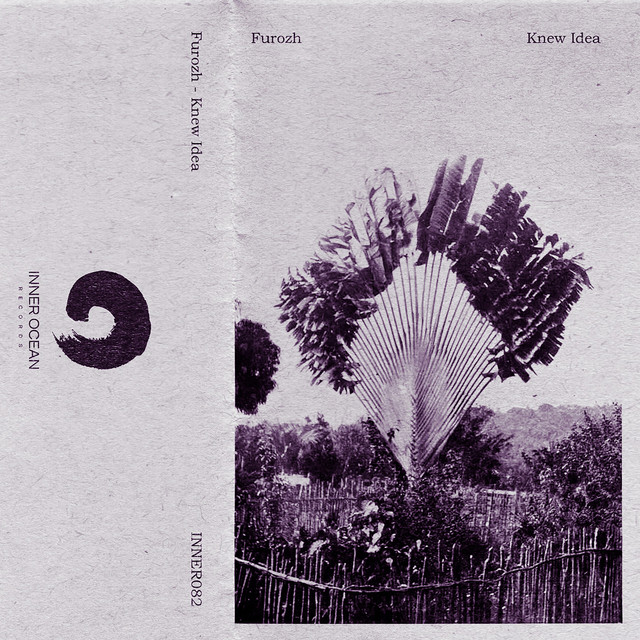 Knew Idea cover art