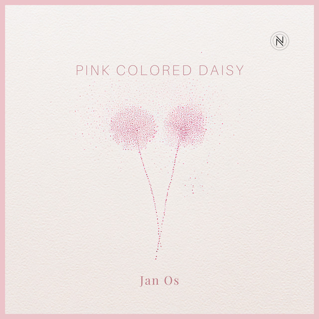 Pink Colored Daisy