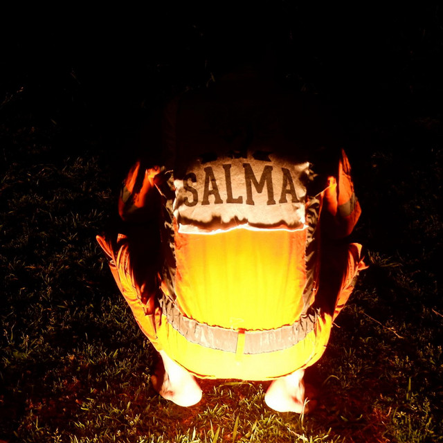 SALMA cover art