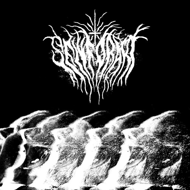 SELVFORAKT cover art